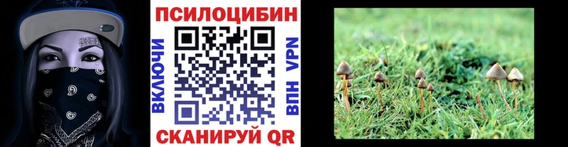 Псилоцибиновые грибы прущие грибы Адыгейск