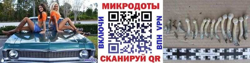 Псилоцибиновые грибы ЛСД  blacksprut как войти  Адыгейск 