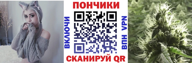 где купить наркоту  Адыгейск  Шишки марихуана планчик 